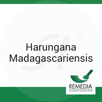 Harungana Madagascariensis Remedia D 6 Globuli 10 g