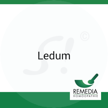 Ledum Remedia 1 g LM 2 Globuli