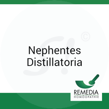Nephentes Distillatoria Remedia LM 5 Globuli 10 g LM 5 Globuli