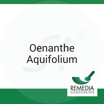 Oenanthe Aquifolium Remedia 10 g C 12 Globuli