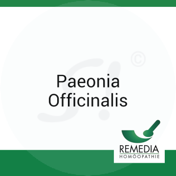 Paeonia Officinalis Remedia 10 g C 6 Globuli