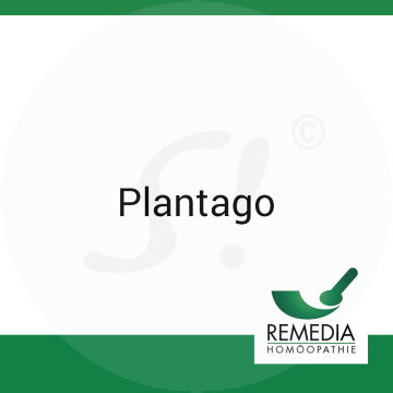 Plantago Remedia 20 ml Urtinktur