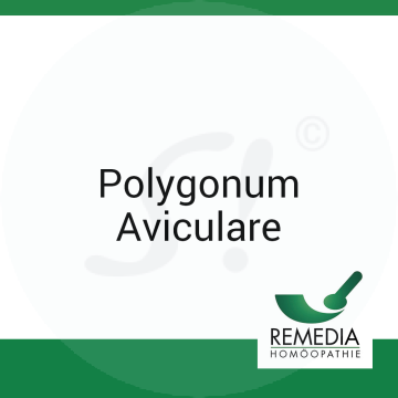 Polygonum Aviculare Remedia D3 Dilution 10 ml D 3 Dilution