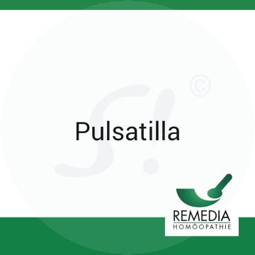 Pulsatilla Remedia 1 g LM 3 Globuli