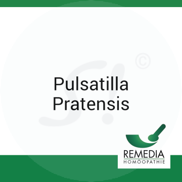 Pulsatilla Pratensis Remedia 10 g D 12 Globuli