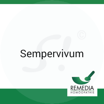 Sempervivum Remedia Urtinktur 20 ml