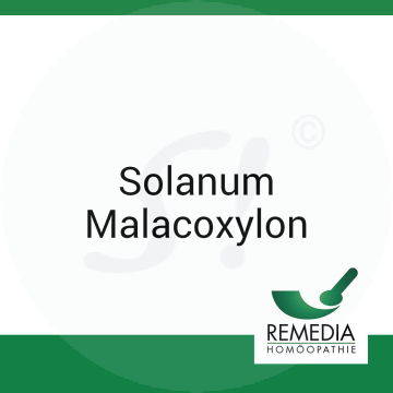 Solanum Malacoxylon Remedia 10 g C 4 Globuli