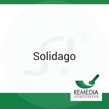 Solidago Remedia 50 g D 30 Globuli