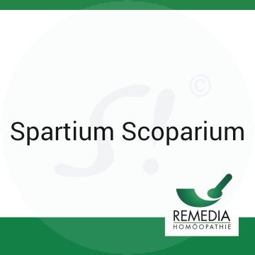 Spartium Scoparium Remedia 10 g D 12 Globuli