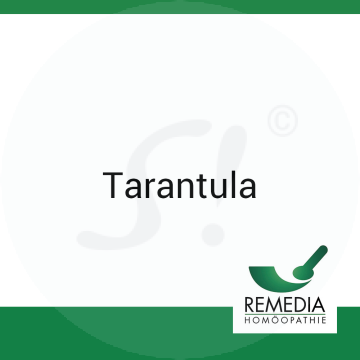 Tarantula Remedia 10 g D 12 Globuli