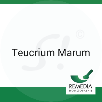 Teucrium Marum Remedia C 30 Globuli 10 g C 30 Globuli