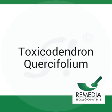 Toxicodendron Quercifolium Remedia 1 g C 1000 Globuli