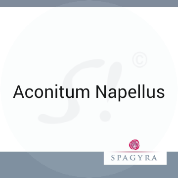 Aconitum Napellus Spagyra 10 ml D 12 Globuli