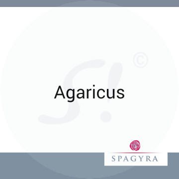 Agaricus Spagyra 10 ml D 12