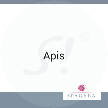 Apis Spagyra 10 ml C 30 Globuli