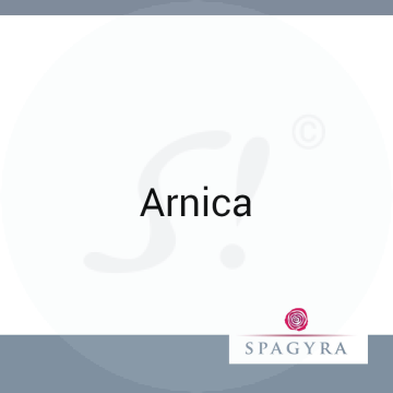Arnica Spagyra 2 ml D 12 Globuli