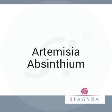 Artemisia Absinthium Spagyra D 12 Globuli 10 ml