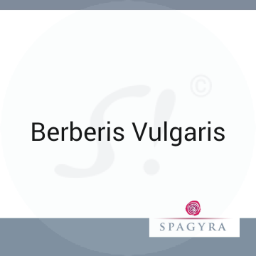 Berberis Vulgaris Spagyra 10 ml D 12 Globuli