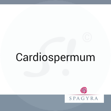 Cardiospermum Spagyra 50 ml D 6 Salbe