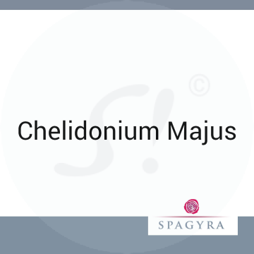 Chelidonium Majus Spagyra 10 ml D 6 Globuli