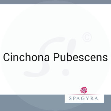 Cinchona Pubescens Spagyra 10 ml D 30 Globuli