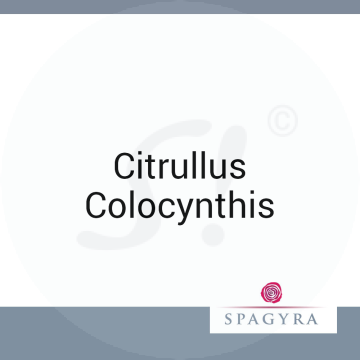 Citrullus Colocynthis Spagyra 10 ml D 6 Globuli