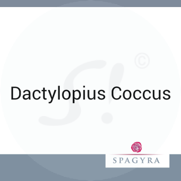 Dactylopius Coccus Spagyra 10 ml D 12 Globuli