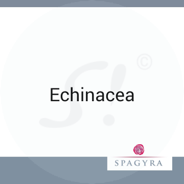 Echinacea Spagyra 10 ml