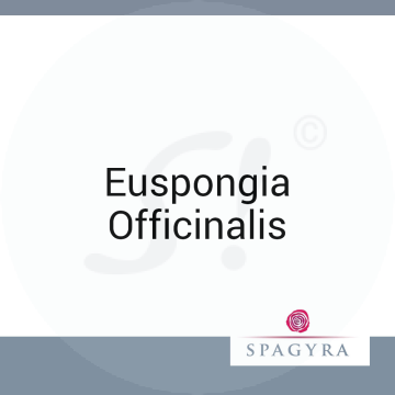Euspongia Officinalis Spagyra D12 Globuli