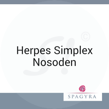 Herpes Simplex Nosoden Spagyra 10 ml C 30 Globuli