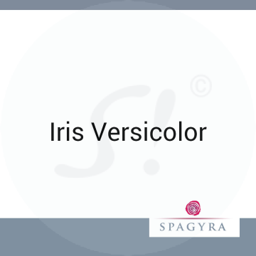 Iris Versicolor Spagyra 10 ml D 12 Globuli