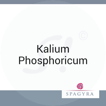 Kalium Phosphoricum Spagyra 10 ml D 6 Globuli
