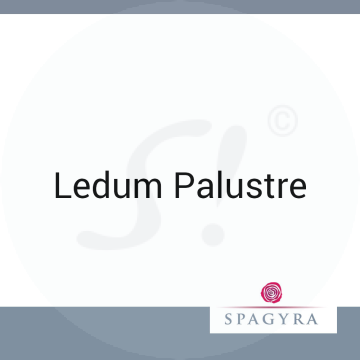 Ledum Palustre Spagyra 10 ml D 6 Globuli