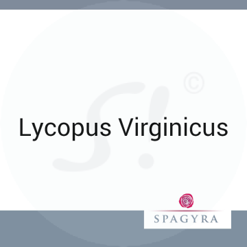 Lycopus Virginicus Spagyra D 3 Dilution 10 ml