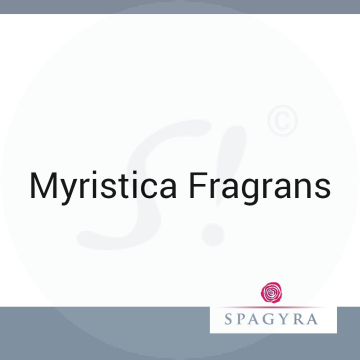 Myristica Fragrans Spagyra D 4 Globuli 10 ml