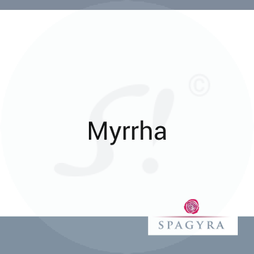 Myrrha Spagyra D 1 Urtinktur 50 ml