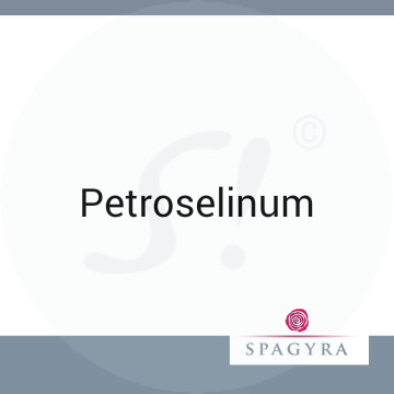 Petroselinum Spagyra 10 ml D 6 Globuli