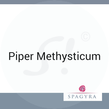 Piper Methysticum Spagyra 10 ml D 12 Globuli