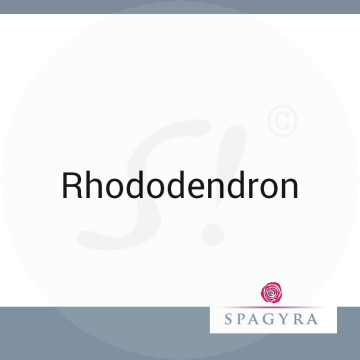 Rhododendron Spagyra 10 ml C 30 Globuli