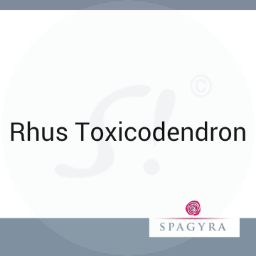 Rhus Toxicodendron Spagyra 2 ml C 200 Globuli