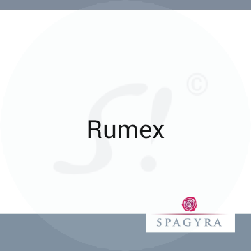 Rumex Spagyra 10 ml D 12 Globuli