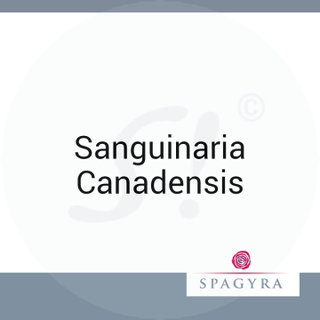 Sanguinaria Canadensis Spagyra 10 ml D 6 Globuli