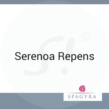 Serenoa Repens Spagyra 10 ml D 30 Globuli