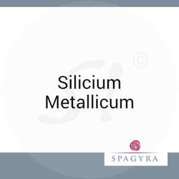 Silicium Metallicum Spagyra 10 ml C 200 Globuli