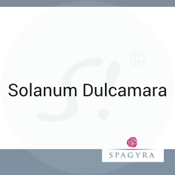 Solanum Dulcamara Spagyra 10 ml D 30 Globuli