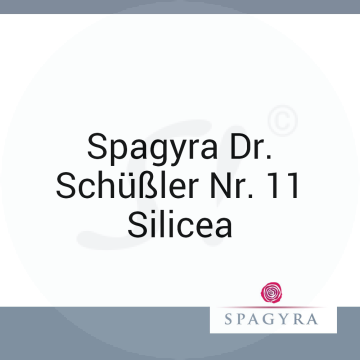 Spagyra Dr. Schüßler Nr. 11 Silicea Spagyra 20 ml D 6 Globuli