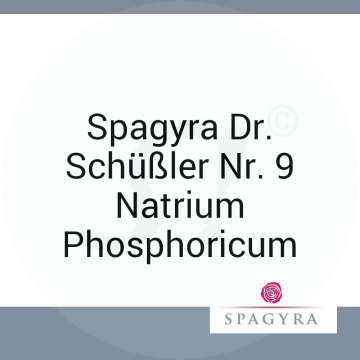 Spagyra Dr. Schüßler Nr. 9 Natrium Phosphoricum Spagyra D 6 Salbe 50 ml