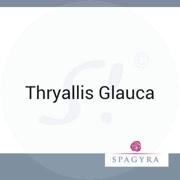 Thryallis Glauca Spagyra 10 ml D 12 Globuli