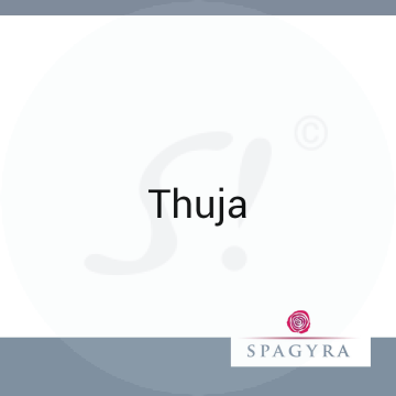 Thuja Spagyra 10 ml