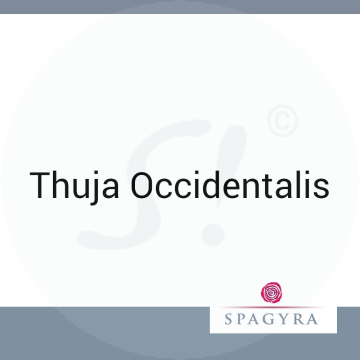 Thuja Occidentalis Spagyra 2 ml C 200 Globuli